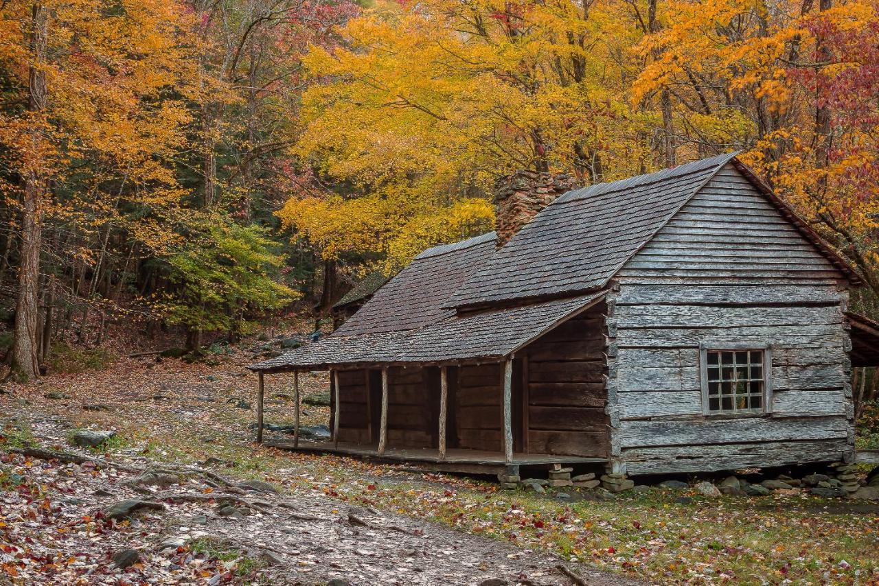 Lazy Bear Den Villa Sevierville Eksteriør billede